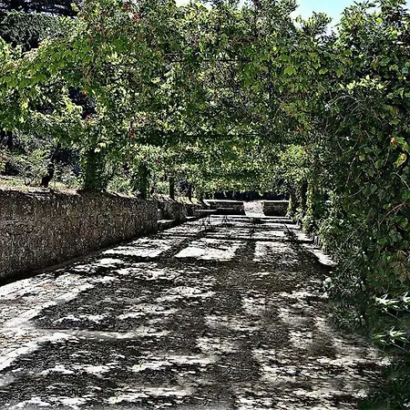 Valle Maira, Agriturismo Nel Parco Dei Nebrodi *