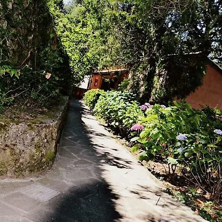 Valle Maira, Agriturismo Nel Parco Dei Nebrodi * Tortorici